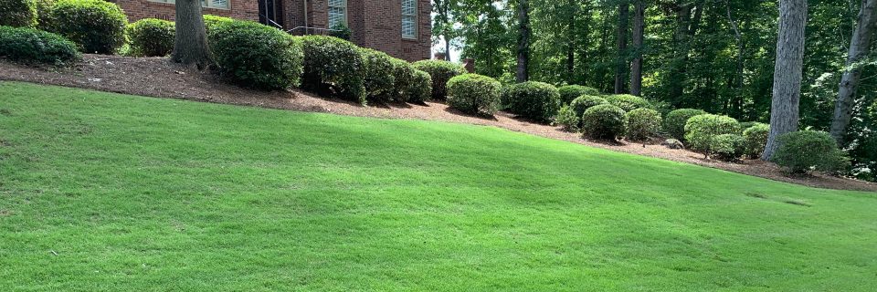 Creative Landscaping And Maintenance, Landscaping Companies In Macon Ga